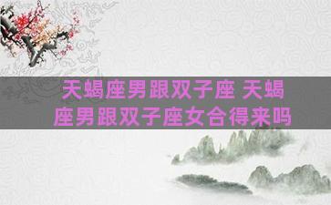 天蝎座男跟双子座 天蝎座男跟双子座女合得来吗